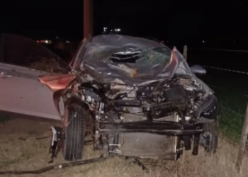 Un automóvil chocó con un caballo: 3 heridos