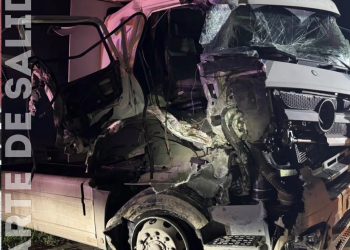 Chocaron dos camiones sobre Autopista: no hay heridos