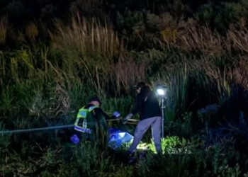 Tragedia al norte de Santa Fe: murieron tres integrantes de una familia en Ruta 11