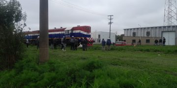 Último momento: una formación de tren atropelló a un equino