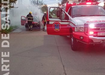 Leones: bomberos combatieron el incendio de un auto en Barrio Sur