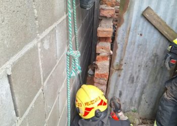 Bomberos rescataron a un perro atrapado entre dos paredes