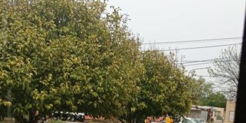 Servicios señalizó un hundimiento en Florentina Rosa y Campaña del Desierto